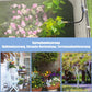 🔔 Kerst Deal – 50% Korting! 🌱 360° Automatisch Irrigatiesysteem voor Jouw Tuin – Bespaar Water & Tijd!