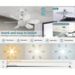 🔥KORTING 50%💡2-in-1 plafondventilator met lamp, snel installeren en geluidsarm