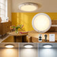 💥Grote Uitverkoop - 50% Korting💡 Oplaadbare Bewegingssensor Plafondlamp met Afstandsbediening - Magnetische Draadloze Plafondlamp op Batterij