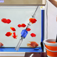 Elektrische Aquarium Waterververser met Filter en Zuigfunctie
