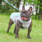 🐶Uitverkoop op de laatste dag: 50% KORTING🐾 Zomer-koelvest voor honden❄️