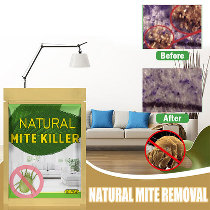🛡️ Het nummer 1 natuurlijke zakje tegen mijten in de VS – Goedgekeurd door Allergy US • 100% chemicaliënvrij • Veilig voor baby’s, huisdieren en mensen met astma 🛏️✨