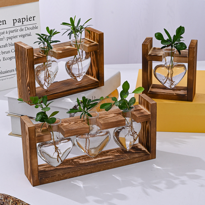 🌿 Rustieke Houten Standaard Hydrocultuur Vazen – Planten Kweken Zonder Aarde | Landelijke Decoratie voor Thuis, Kantoor & Keuken