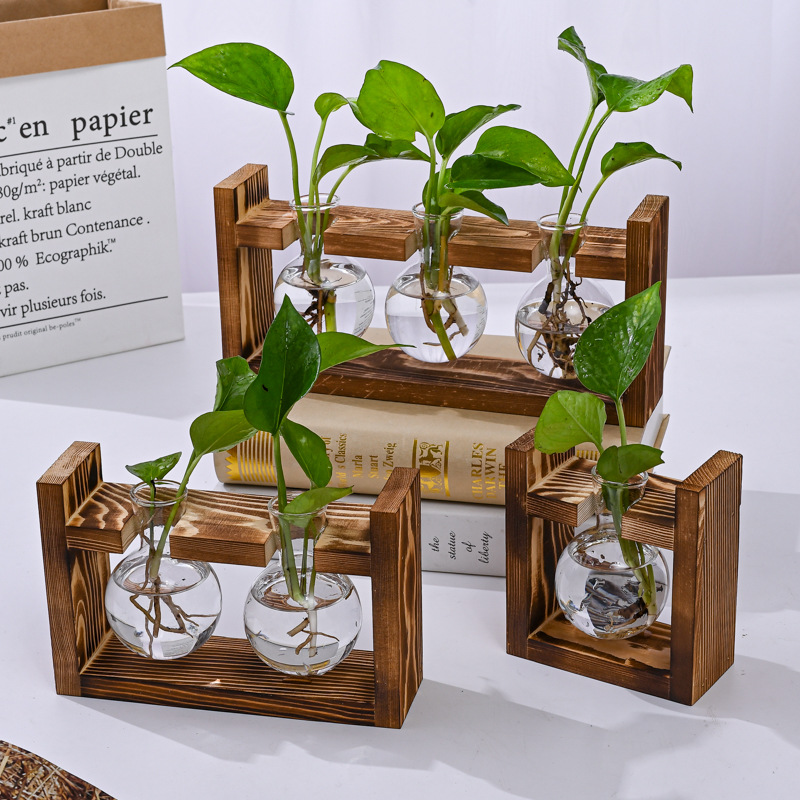 🌿 Rustieke Houten Standaard Hydrocultuur Vazen – Planten Kweken Zonder Aarde | Landelijke Decoratie voor Thuis, Kantoor & Keuken