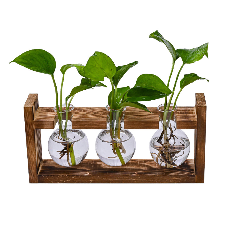 🌿 Rustieke Houten Standaard Hydrocultuur Vazen – Planten Kweken Zonder Aarde | Landelijke Decoratie voor Thuis, Kantoor & Keuken