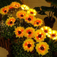🌻 Waterdichte zonnebloemlampjes op zonne-energie – Realistische bloemblaadjes, IP65 weerbestendig & 8-12 uur automatisch gloeiend ☀️