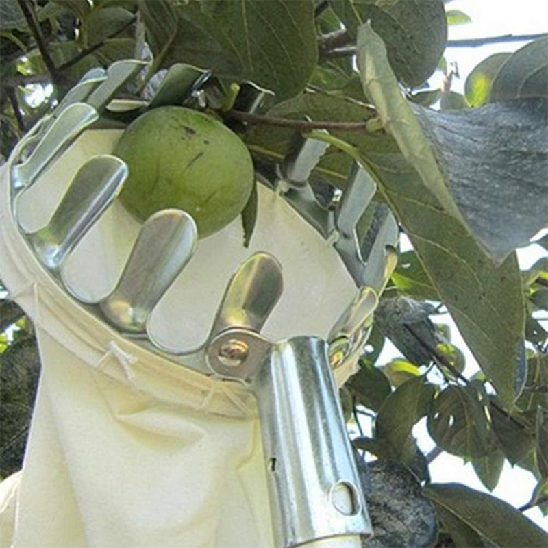 🍎 Fruitplukker met opvangmand
