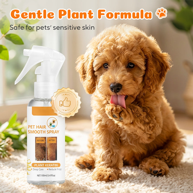 🔥50% korting op de laatste dag!🔥Pet Deodorizing & Detangling Spray