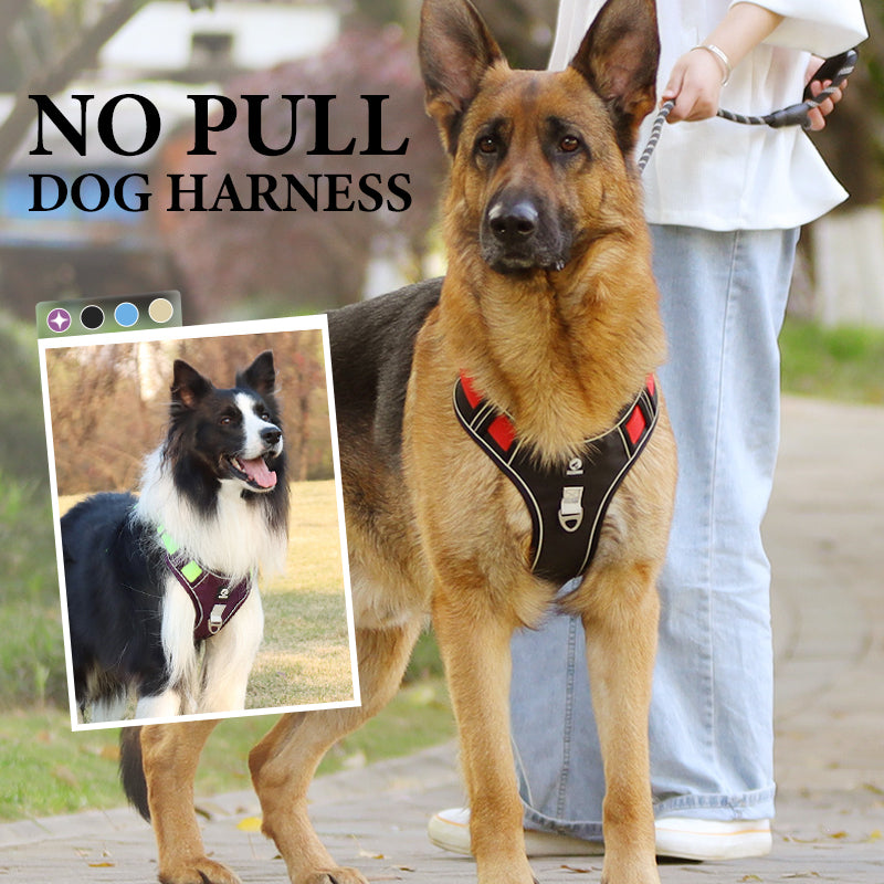 🐕 50% KORTING! 🔦 Anti-trek hondenharnas met LED-lijn en halsband – vermindert druk, zacht nylon en perfect voor nachtelijke wandelingen en training 🌙