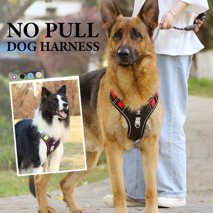 🐕 50% KORTING! 🔦 Anti-trek hondenharnas met LED-lijn en halsband – vermindert druk, zacht nylon en perfect voor nachtelijke wandelingen en training 🌙