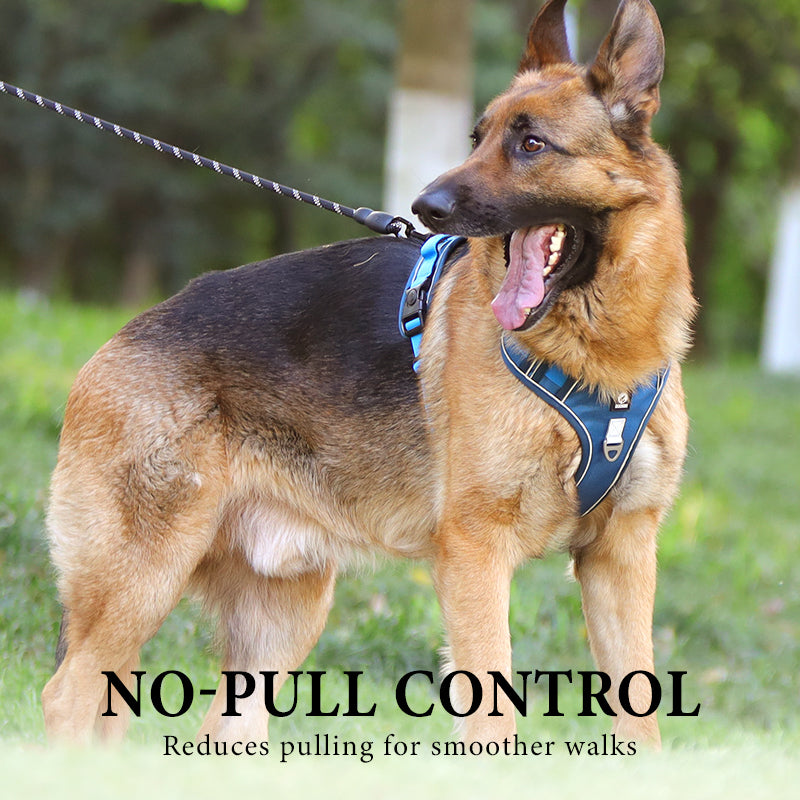 🐕 50% KORTING! 🔦 Anti-trek hondenharnas met LED-lijn en halsband – vermindert druk, zacht nylon en perfect voor nachtelijke wandelingen en training 🌙