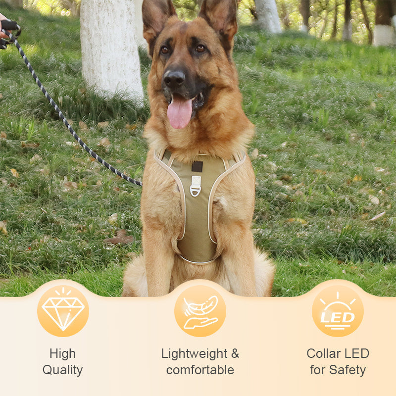 🐕 50% KORTING! 🔦 Anti-trek hondenharnas met LED-lijn en halsband – vermindert druk, zacht nylon en perfect voor nachtelijke wandelingen en training 🌙