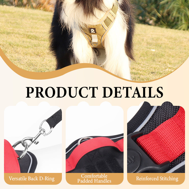 🐕 50% KORTING! 🔦 Anti-trek hondenharnas met LED-lijn en halsband – vermindert druk, zacht nylon en perfect voor nachtelijke wandelingen en training 🌙
