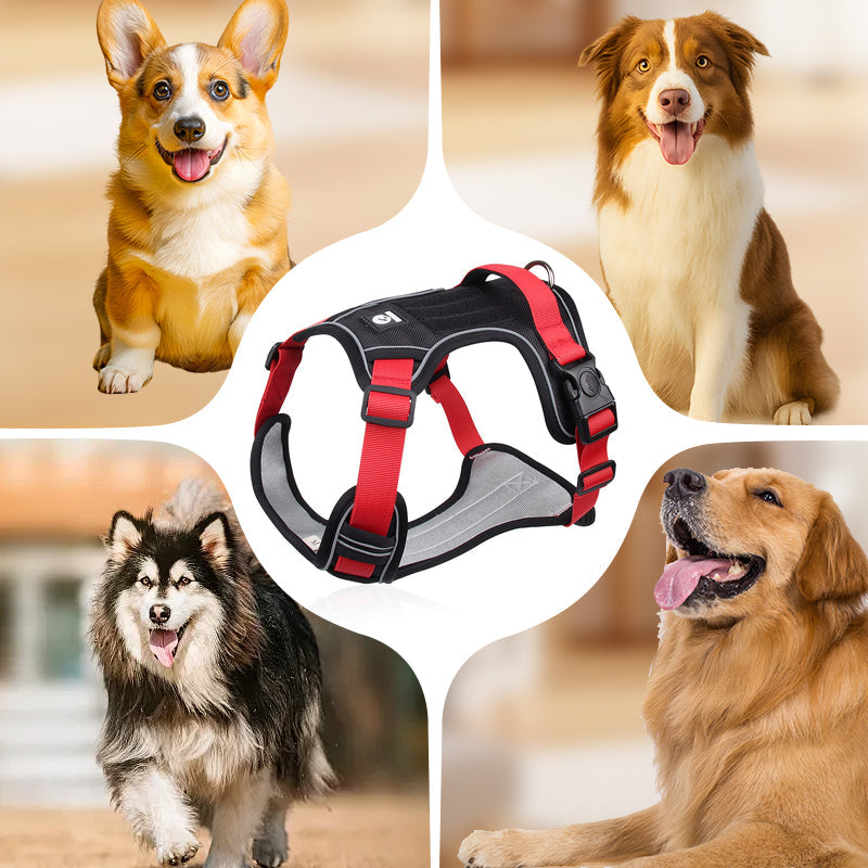 🐕 50% KORTING! 🔦 Anti-trek hondenharnas met LED-lijn en halsband – vermindert druk, zacht nylon en perfect voor nachtelijke wandelingen en training 🌙