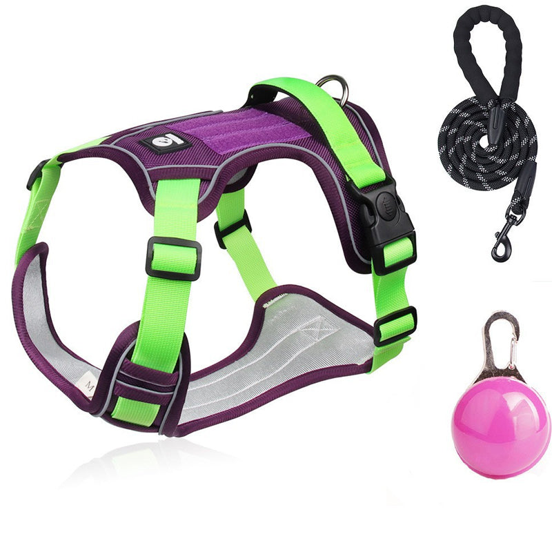 🐕 50% KORTING! 🔦 Anti-trek hondenharnas met LED-lijn en halsband – vermindert druk, zacht nylon en perfect voor nachtelijke wandelingen en training 🌙