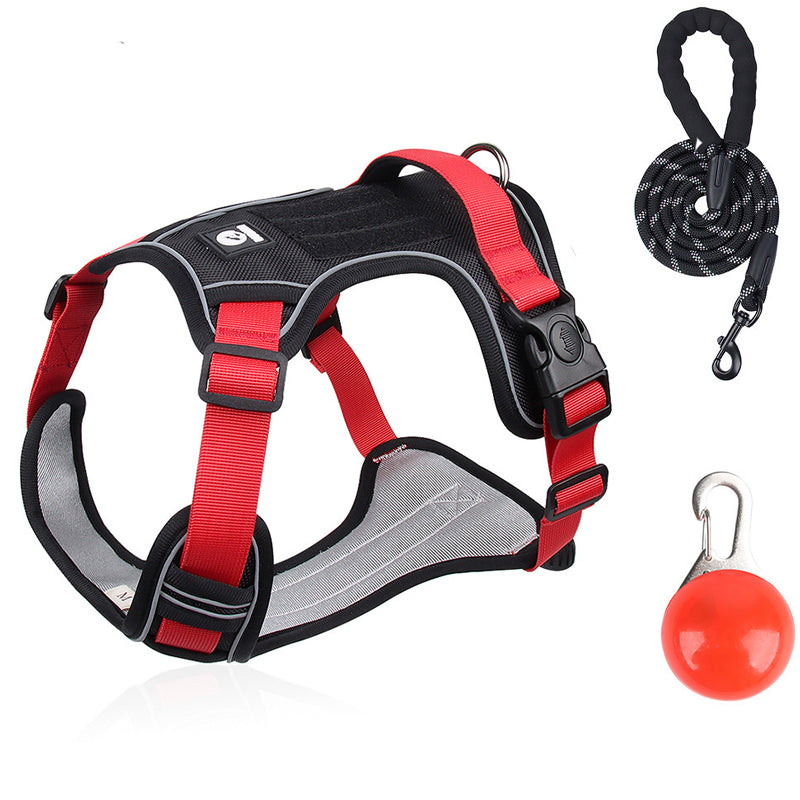 🐕 50% KORTING! 🔦 Anti-trek hondenharnas met LED-lijn en halsband – vermindert druk, zacht nylon en perfect voor nachtelijke wandelingen en training 🌙