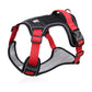 🐕 50% KORTING! 🔦 Anti-trek hondenharnas met LED-lijn en halsband – vermindert druk, zacht nylon en perfect voor nachtelijke wandelingen en training 🌙