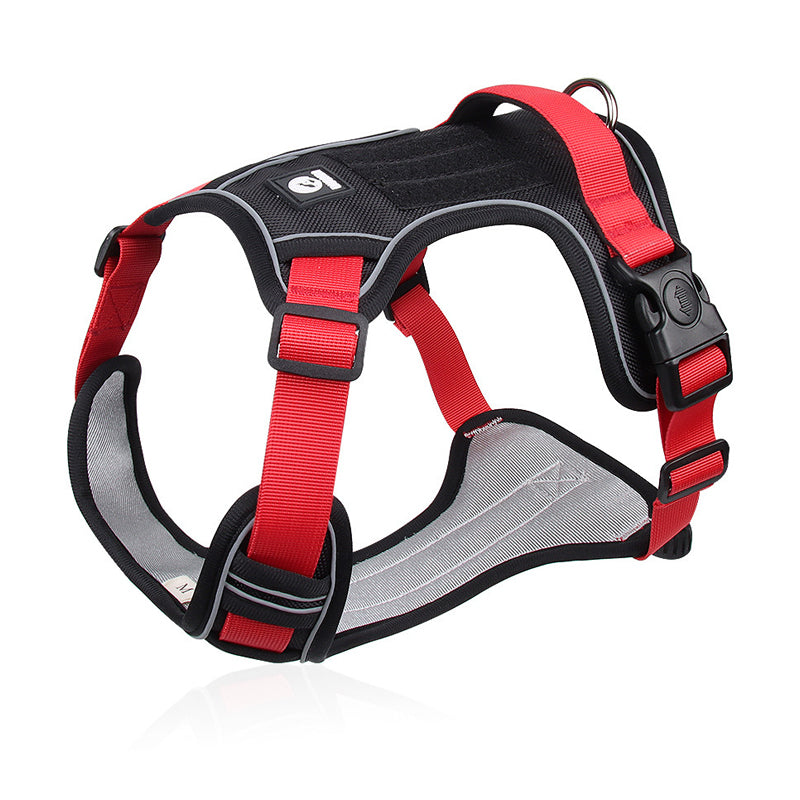 🐕 50% KORTING! 🔦 Anti-trek hondenharnas met LED-lijn en halsband – vermindert druk, zacht nylon en perfect voor nachtelijke wandelingen en training 🌙
