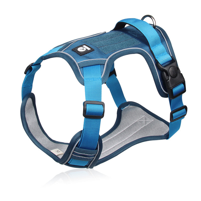 🐕 50% KORTING! 🔦 Anti-trek hondenharnas met LED-lijn en halsband – vermindert druk, zacht nylon en perfect voor nachtelijke wandelingen en training 🌙