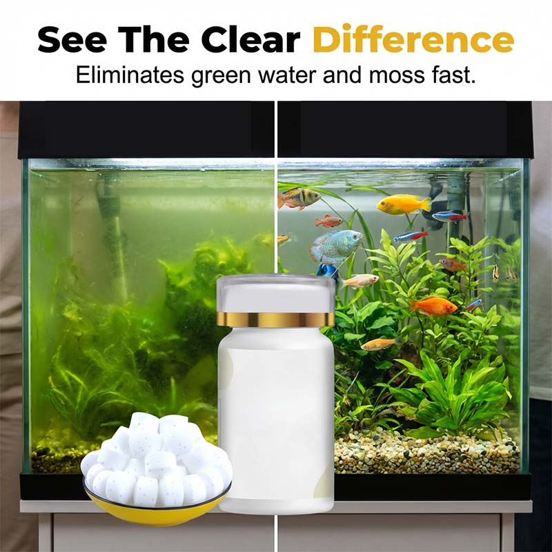 🎁 HETE AANBIEDING 2026! 🎁 Aquarium – Verwijdert groen water en mos – effectief en zacht! 🌿💧