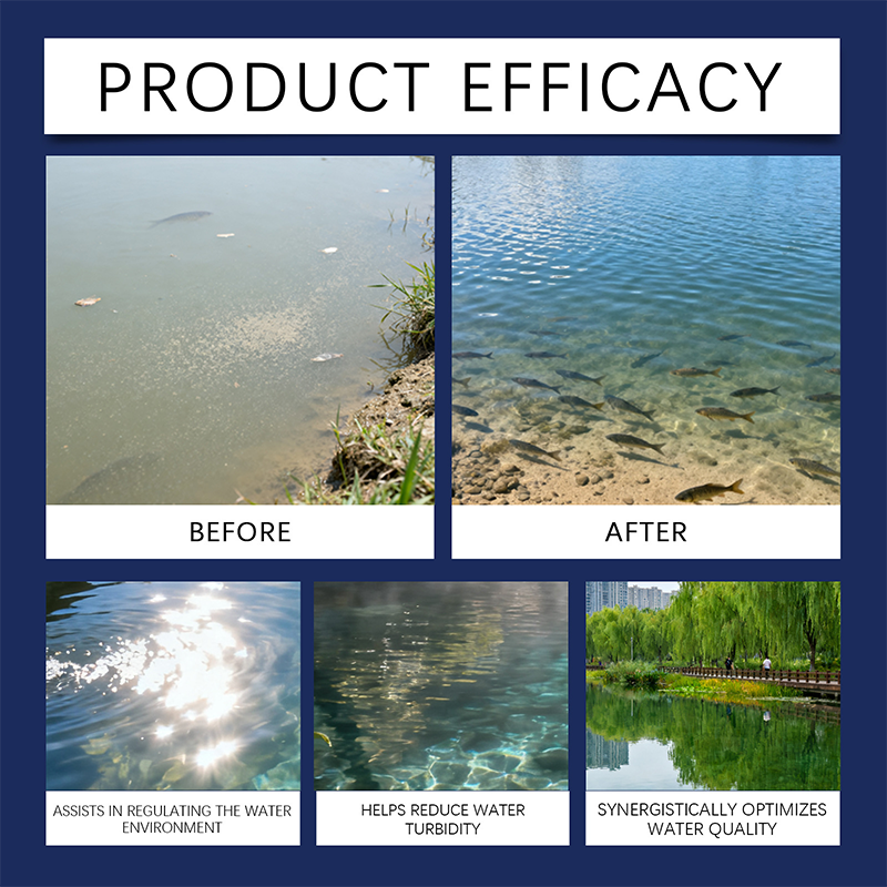 🐟 Kristalhelder Water Zonder Gedoe – Aqua-Guardian Pro Formula 💧