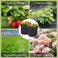 Poeak™ Micro-Belucht Geotextiel Kweekzak | Gezonde Wortels & Optimale Drainage