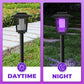 🦟⚡ 50% KORTING! Zonne-energie muggenlamp — zeer effectieve muggenbestrijding,  jouw terras wordt een no-fly zone!
