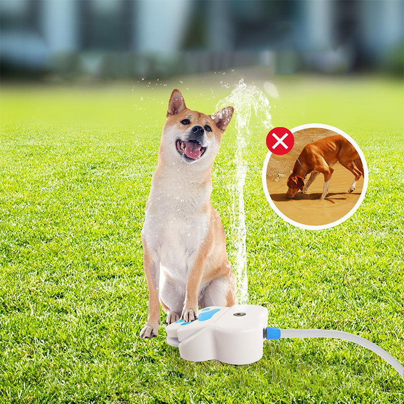 🐶⛲ Automatische Pedaal Waterfontein voor Honden | Altijd Vers Drinkwater Buiten 🐾