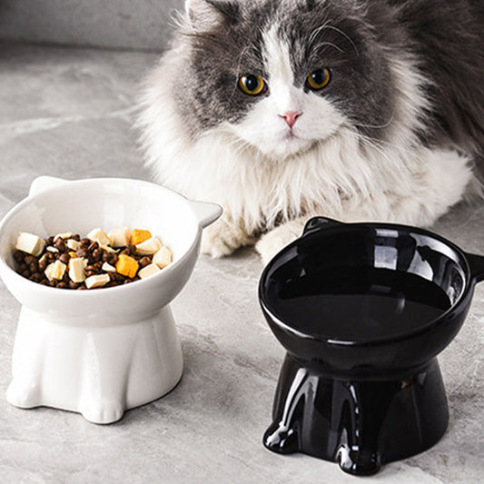 🐱 TIJDELIJKE AANBIEDING: 62% KORTING! ✨ Ergonomische verhoogde kattenbak – 15° helling, antislip