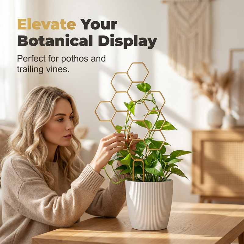 🌿 TIJDELIJKE AANBIEDING: 50% KORTING! ✨ Honingraat-plantenrek – Roestvrij, stapelbaar, eenvoudig te monteren 🐝