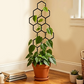 🌿 TIJDELIJKE AANBIEDING: 50% KORTING! ✨ Honingraat-plantenrek – Roestvrij, stapelbaar, eenvoudig te monteren 🐝