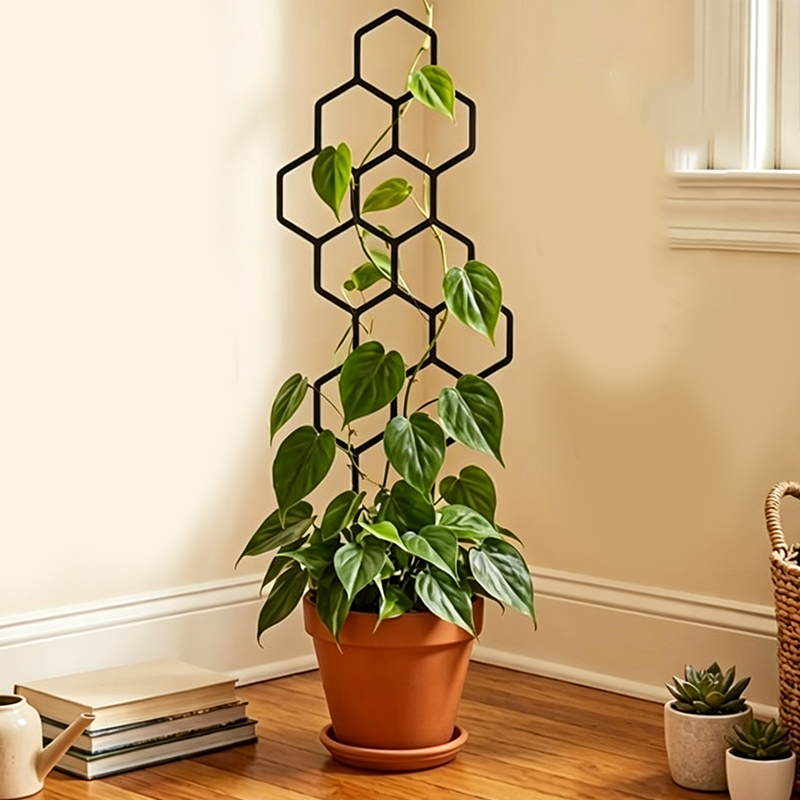 🌿 TIJDELIJKE AANBIEDING: 50% KORTING! ✨ Honingraat-plantenrek – Roestvrij, stapelbaar, eenvoudig te monteren 🐝