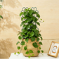 🌿 TIJDELIJKE AANBIEDING: 50% KORTING! ✨ Honingraat-plantenrek – Roestvrij, stapelbaar, eenvoudig te monteren 🐝