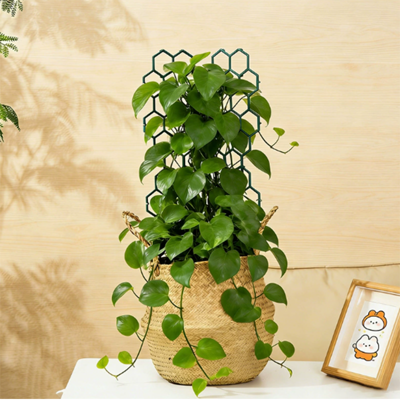 🌿 TIJDELIJKE AANBIEDING: 50% KORTING! ✨ Honingraat-plantenrek – Roestvrij, stapelbaar, eenvoudig te monteren 🐝