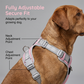 🐕 50% KORTING! Premium Anti-Trek Hondentuigje (Inclusief Gratis Riem) ✨