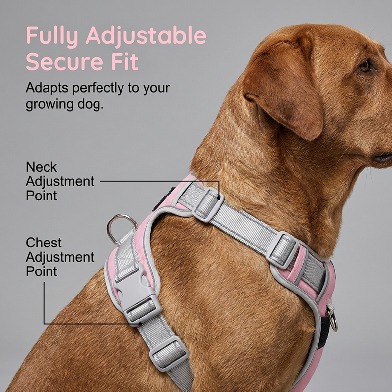 🐕 50% KORTING! Premium Anti-Trek Hondentuigje (Inclusief Gratis Riem) ✨