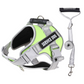 🐕 50% KORTING! Premium Anti-Trek Hondentuigje (Inclusief Gratis Riem) ✨