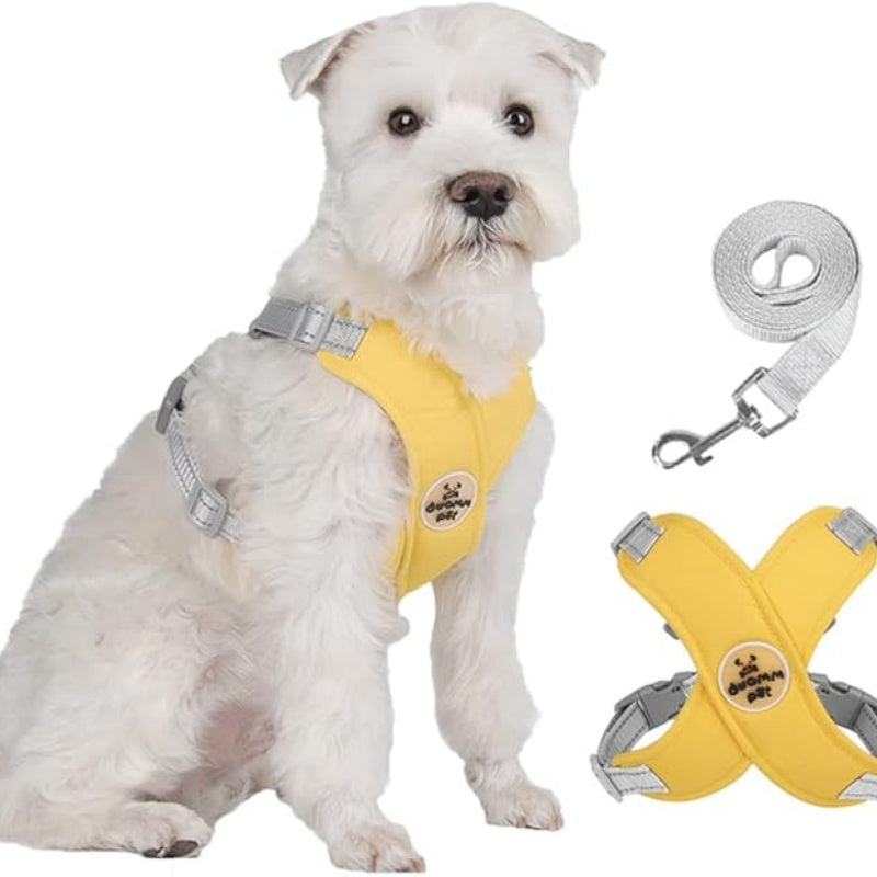 X-frame anti-trek hondentuigje-set met riem