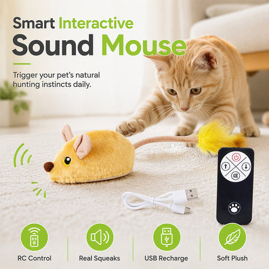 🐱 Interactief piepend pluche kattenspeeltje